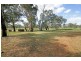 78 Hanks Lane, Junee NSW 2663