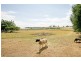 21 De Salis Drive, Junee NSW 2663