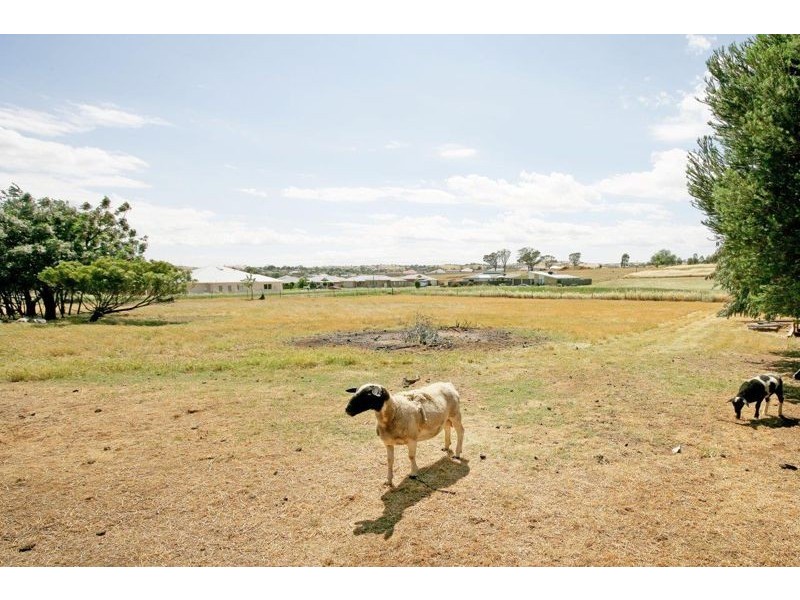 21 De Salis Drive, Junee NSW 2663