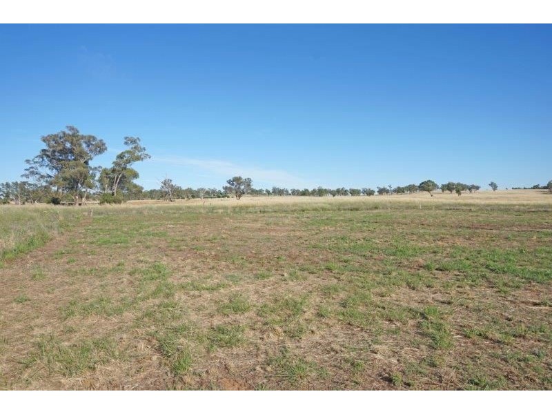 12 De Salis St, Old Junee NSW 2652