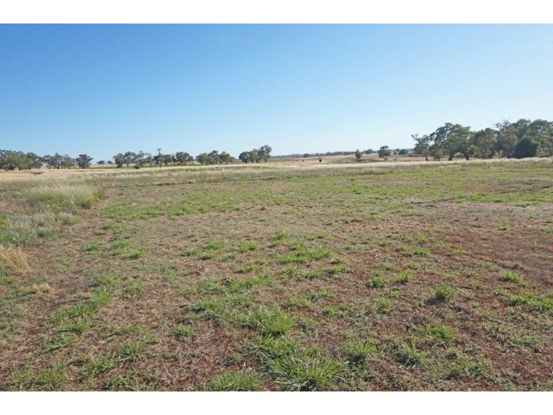 12 De Salis St, Old Junee NSW 2652