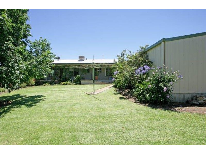 41 Pitt Street, Junee NSW 2663
