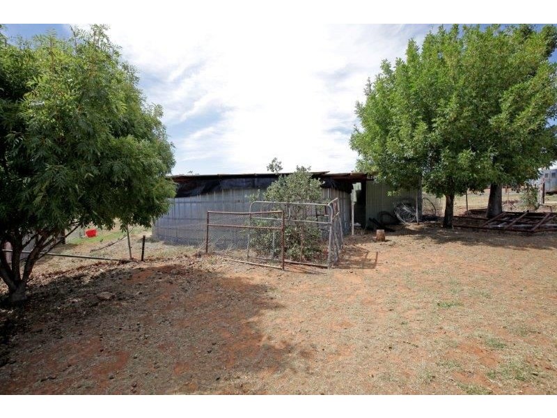 93 Wardle St, Junee NSW 2663