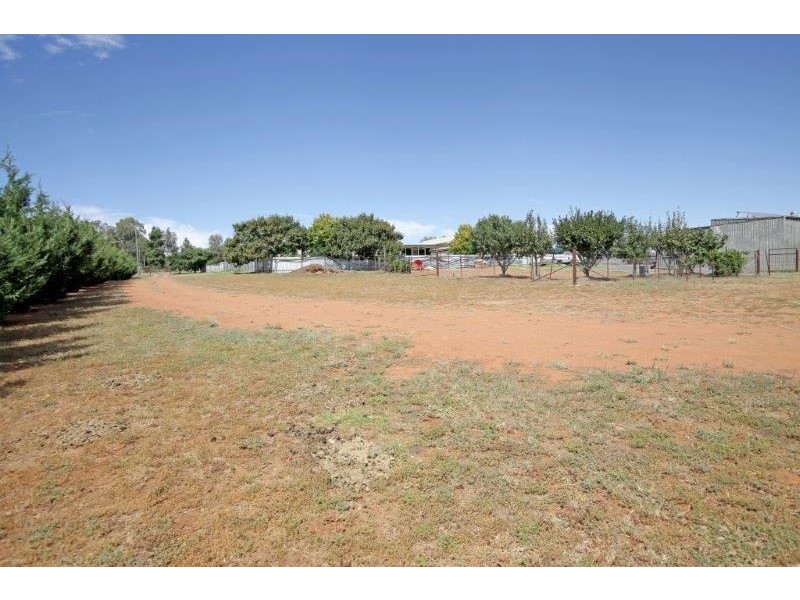 93 Wardle St, Junee NSW 2663