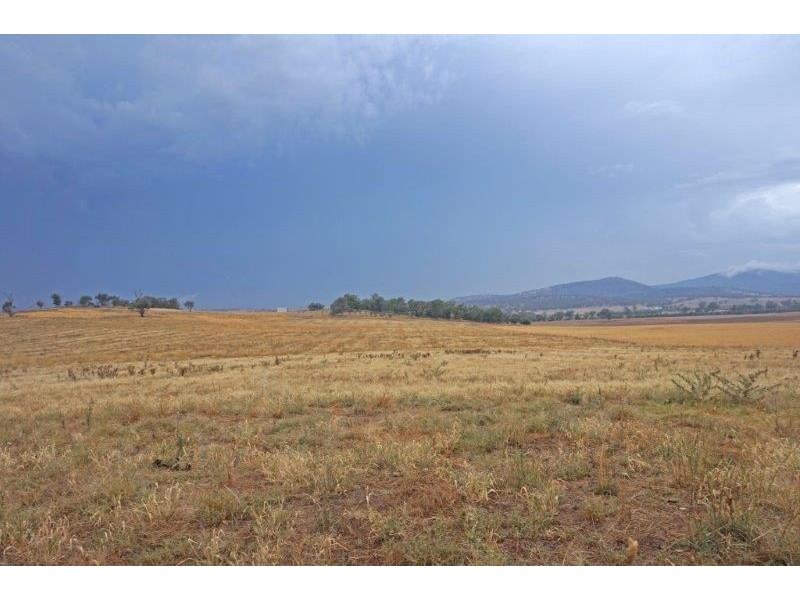 27 Dudauman Rd, Cootamundra NSW 2590