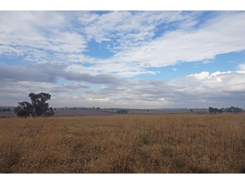 27 Dudauman Rd, Cootamundra NSW 2590