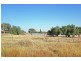 8, 9, 10 & 11 Lydia Street, Junee NSW 2663