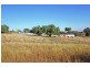 8, 9, 10 & 11 Lydia Street, Junee NSW 2663