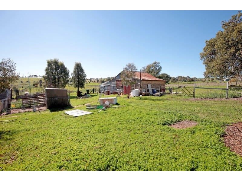 56 Pitt Street, Junee NSW 2663