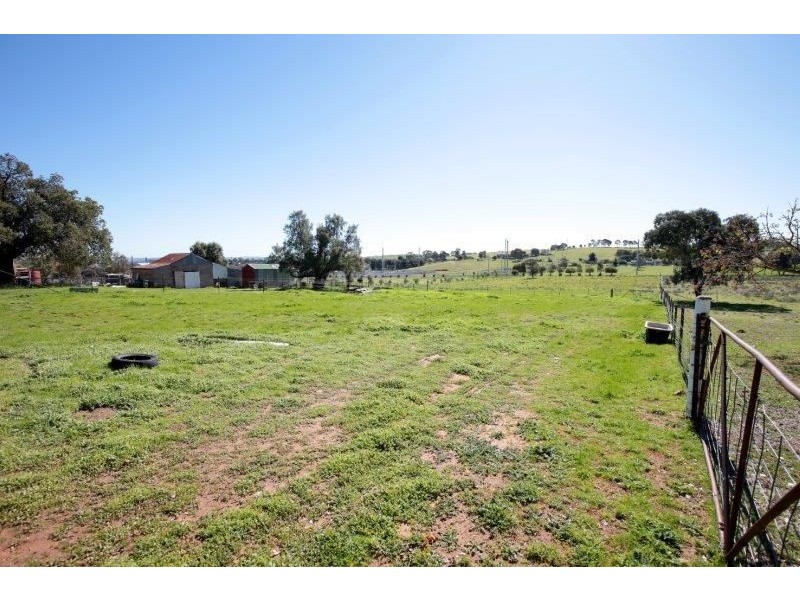 56 Pitt Street, Junee NSW 2663