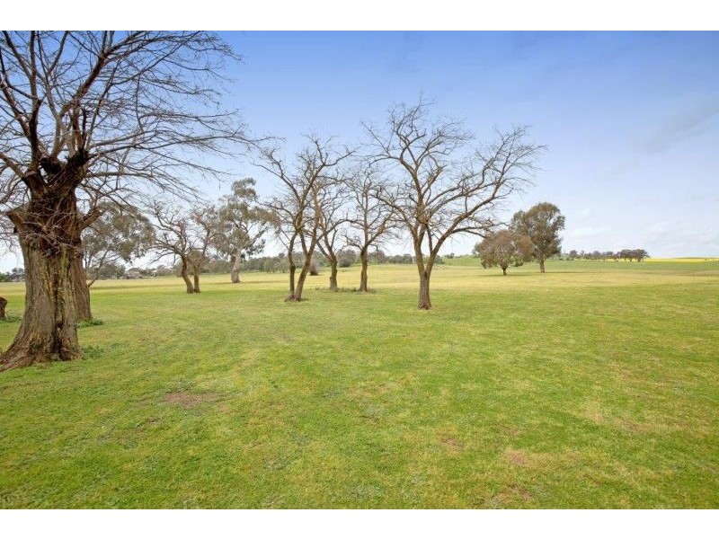 2992 Byrnes Rd, Junee NSW 2663