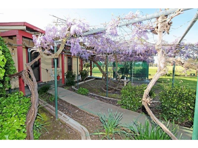 2992 Byrnes Rd, Junee NSW 2663