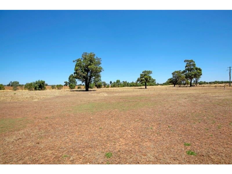 80 Wyoming Lane, Junee NSW 2663