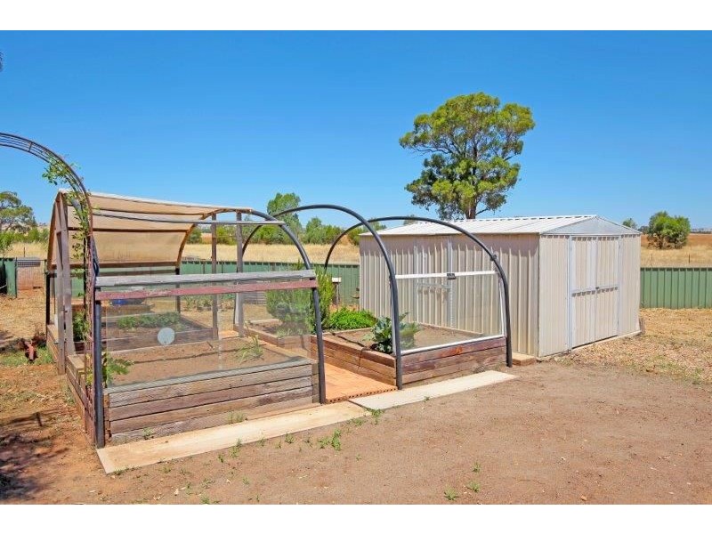 80 Wyoming Lane, Junee NSW 2663