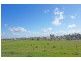 LOT 9 & 10 Knight Street, Junee NSW 2663