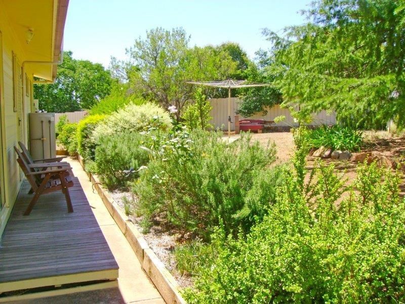 59 Wardle St, Junee NSW 2663