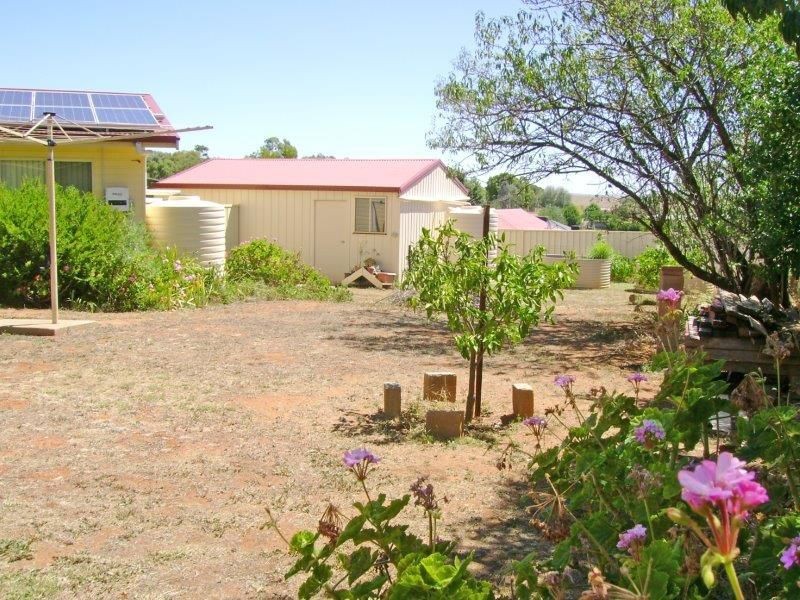 59 Wardle St, Junee NSW 2663