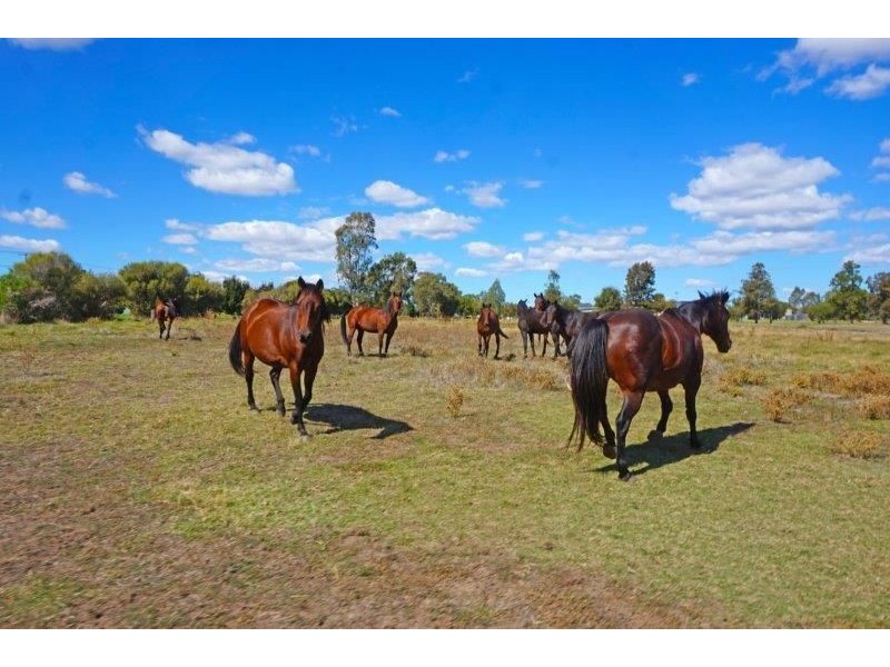 Lot 2 & 3 Broadway, Junee NSW 2663