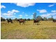 Lot 2 & 3 Broadway, Junee NSW 2663