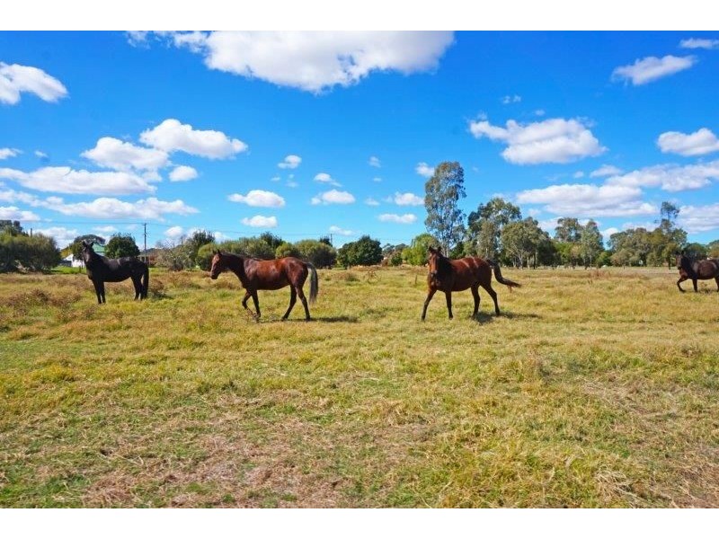 Lot 2 & 3 Broadway, Junee NSW 2663