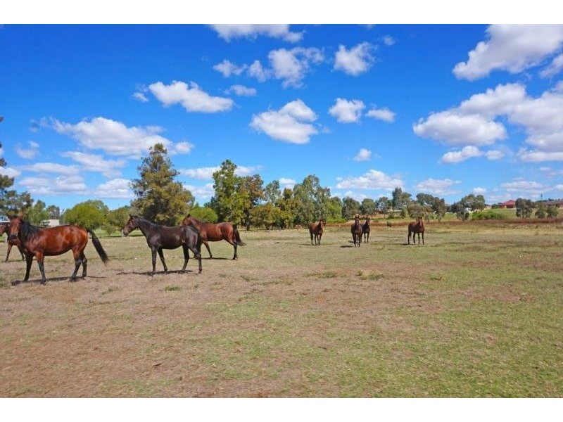 Lot 2 & 3 Broadway, Junee NSW 2663