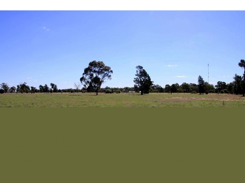 Lot 125 Treasure Street, Lockhart NSW 2656