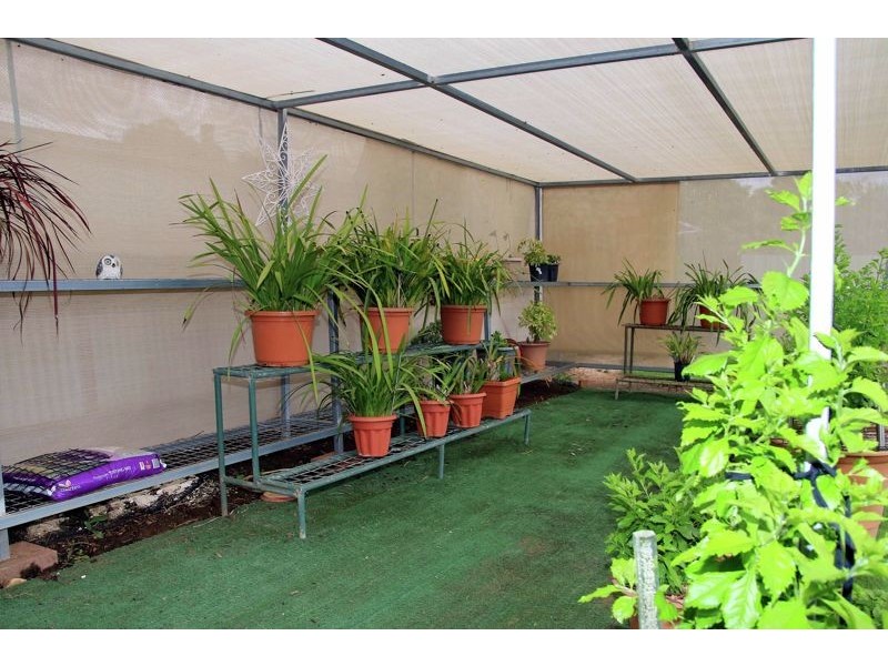 3 Ferrier Street, Lockhart NSW 2656