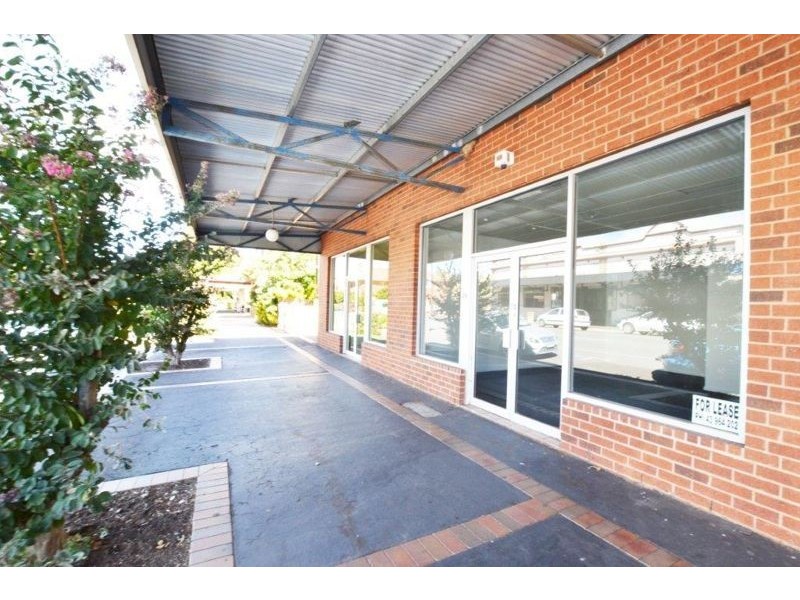 91 Lorne Street, Junee NSW 2663