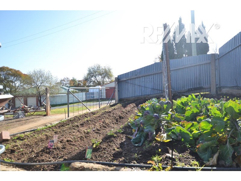 52 Hill Street, Junee NSW 2663
