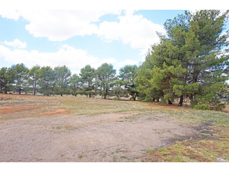 52 Boundary Street, Junee NSW 2663