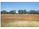 Lot 4 Wallace St, Coolamon NSW 2701