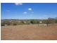 Lot 6 Cassia Way, Junee NSW 2663