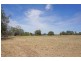Lot 10 Knight St, Junee NSW 2663