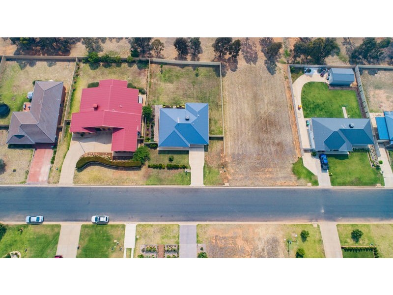 41 John Potts Dr, Junee NSW 2663