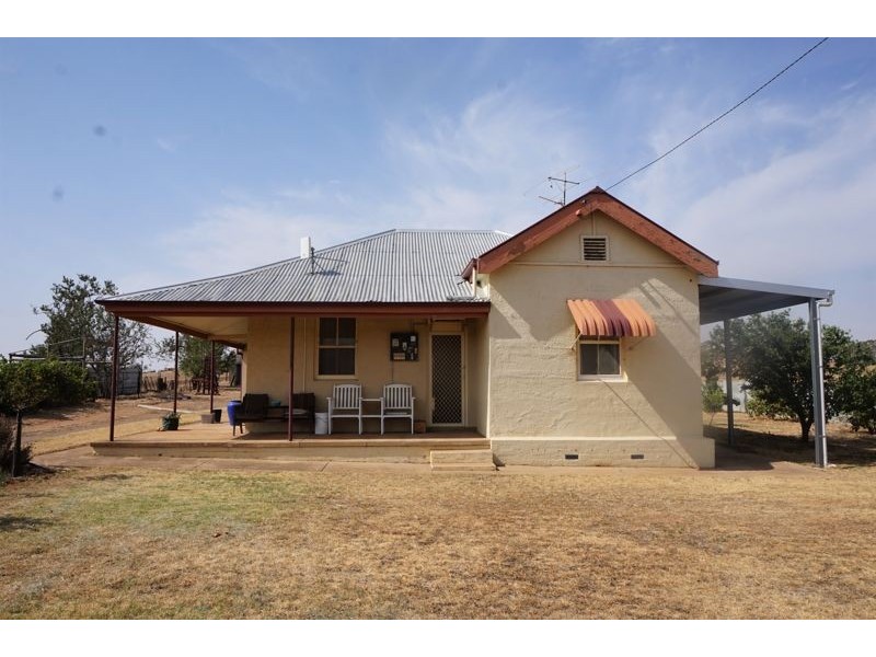 60 Percy Street, Junee NSW 2663