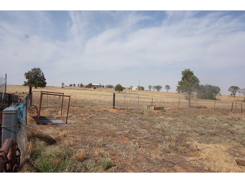 60 Percy Street, Junee NSW 2663