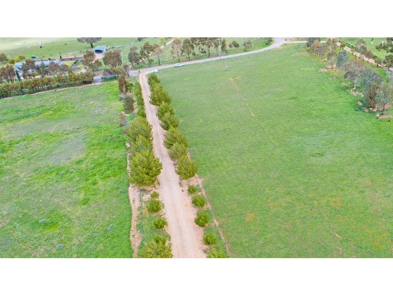 61 Tathra Dr, Junee NSW 2663