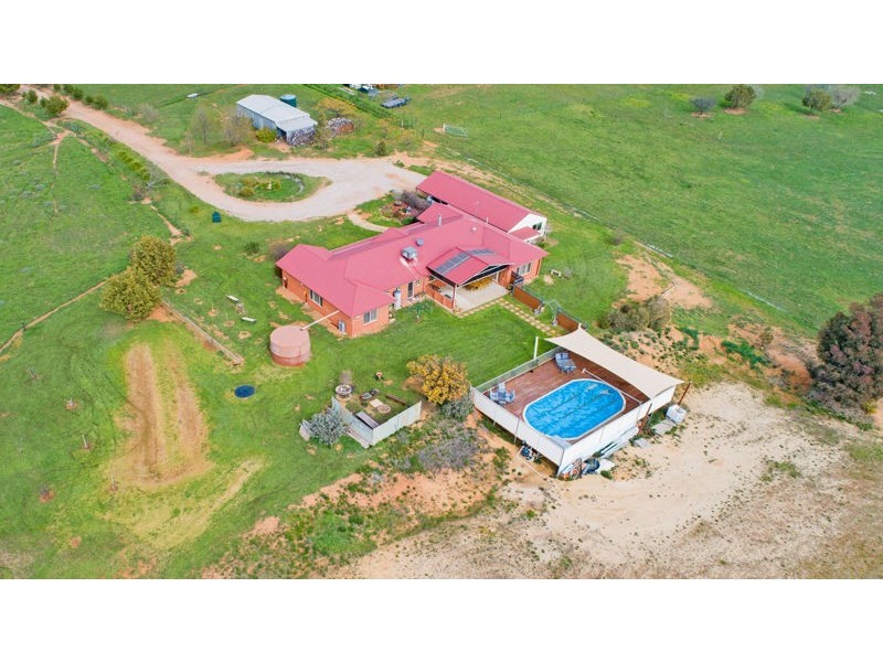 61 Tathra Dr, Junee NSW 2663