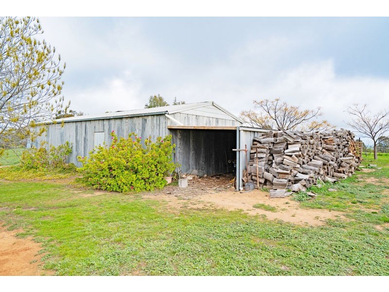 61 Tathra Dr, Junee NSW 2663