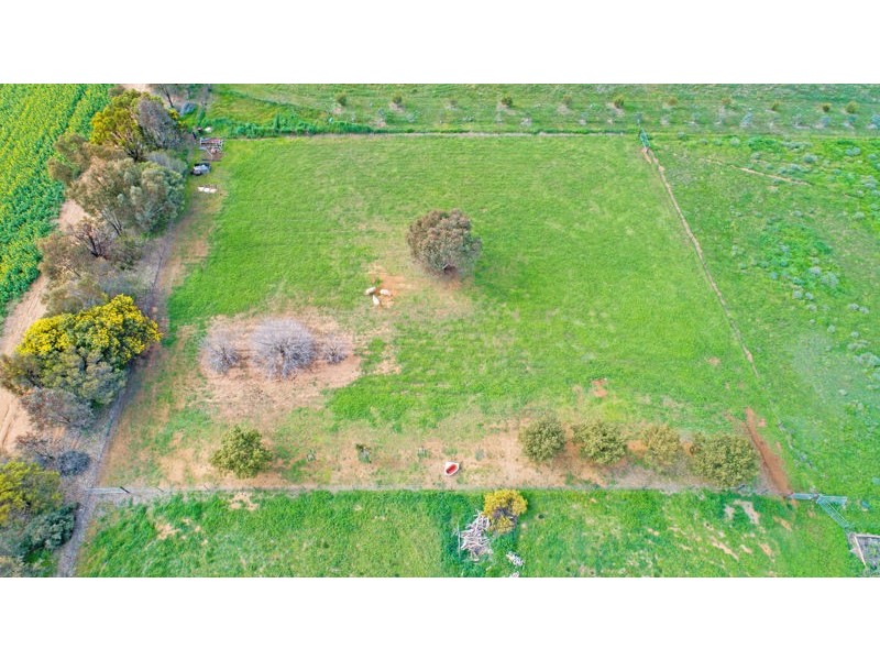 61 Tathra Dr, Junee NSW 2663