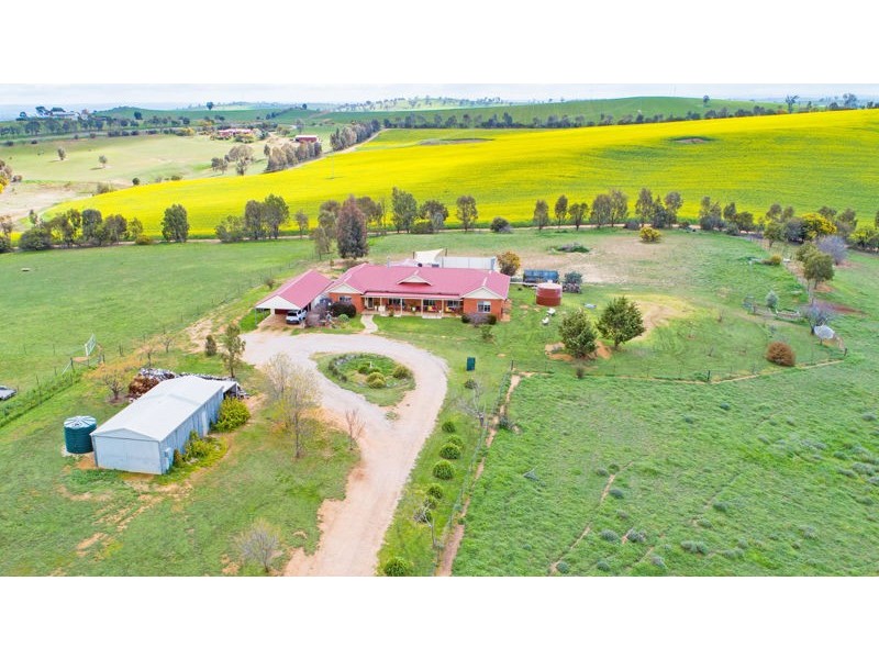 61 Tathra Dr, Junee NSW 2663