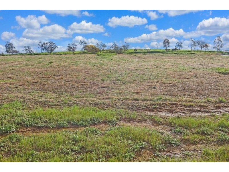 8 Taylor St Junee, Junee NSW 2663