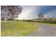 50 Old Junee Rd, Junee NSW 2663