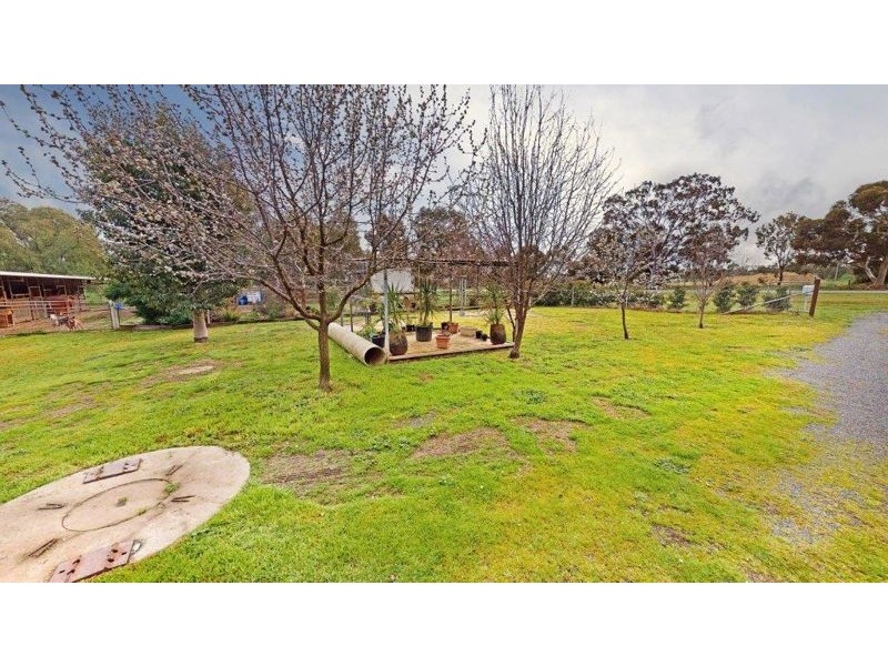 50 Old Junee Rd, Junee NSW 2663