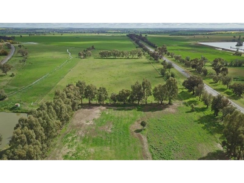 50 Old Junee Rd, Junee NSW 2663