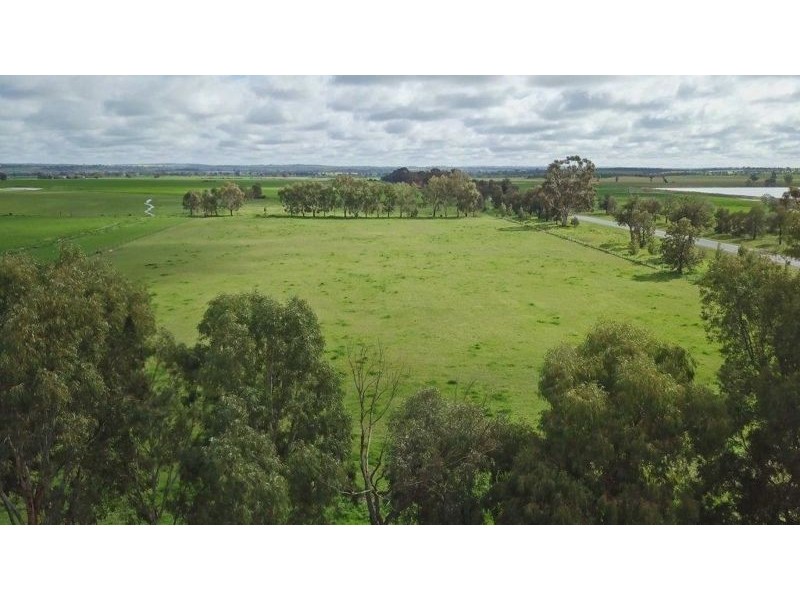 50 Old Junee Rd, Junee NSW 2663