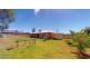 74 Lewis Street, Coolamon NSW 2701