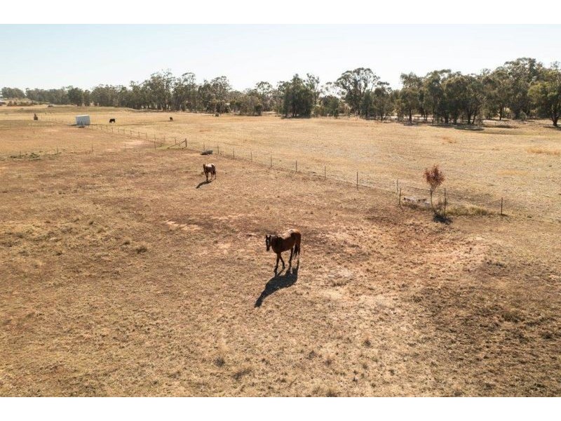 Lot 8 Coolamon Rd, Coolamon NSW 2701
