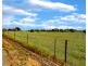102 Park Lane, Junee NSW 2663