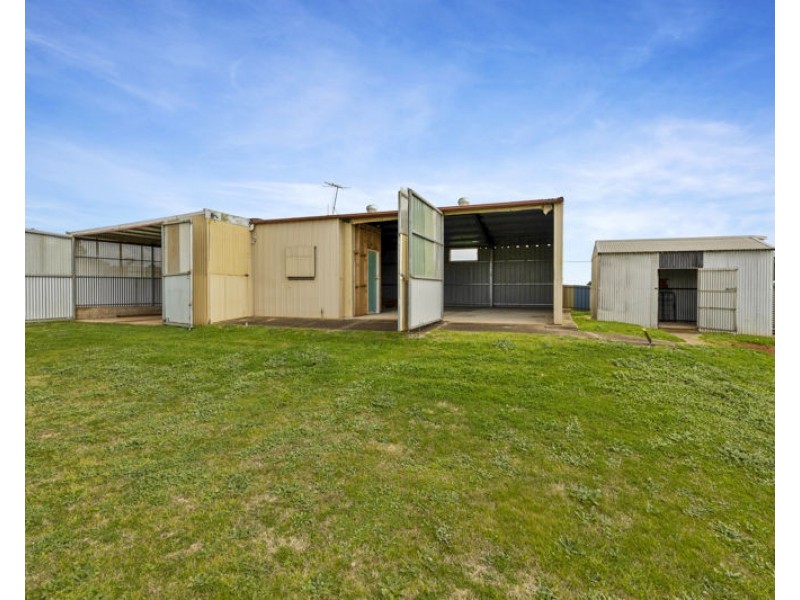 93 Wardle Street, Junee NSW 2663